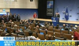 北约官员爆料新闻报道,揭秘北约内部惊人内幕
